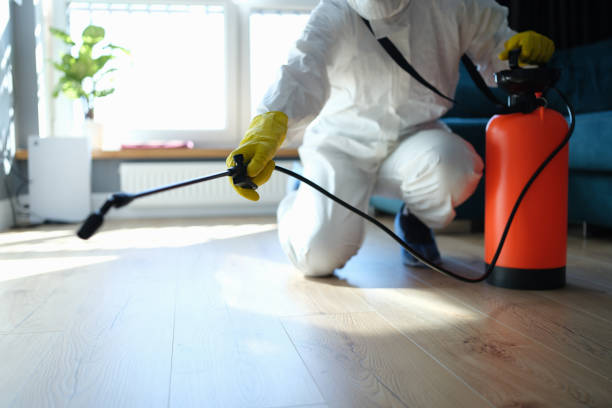 Best Bed Bug Extermination  in Big Rapids, MI