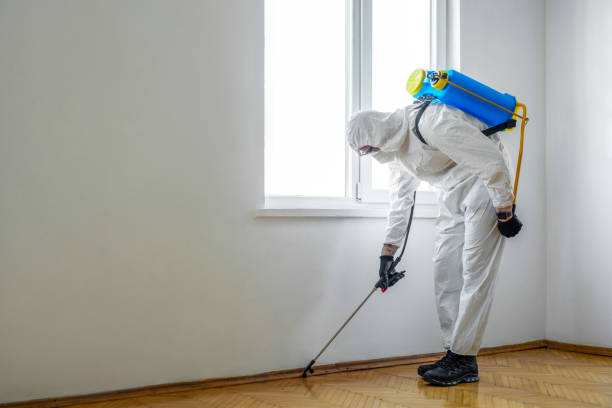 Best Wildlife Control Services  in Big Rapids, MI