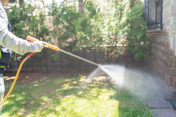  Big Rapids, MI Pest Control Pros