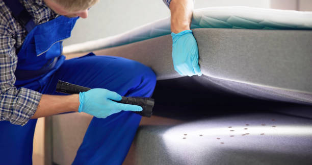 Best Commercial Pest Control Services  in Big Rapids, MI