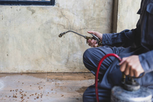Best Pest Prevention Services  in Big Rapids, MI